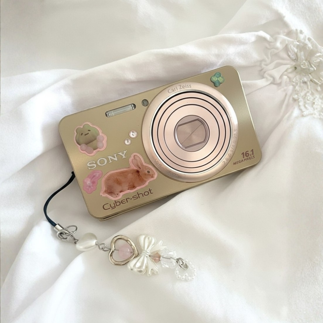 Vintage Sony Cyber-shot DSC-W570 – Gilmore Glee Vintage Sony Cyber-shot DSC-W570 – Gilmore Glee